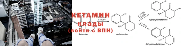 трава Заводоуковск
