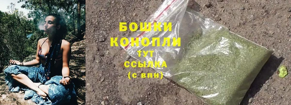 трава Заводоуковск