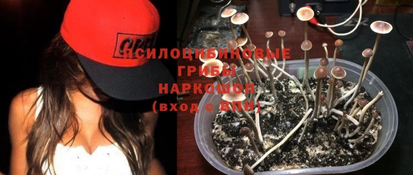 трава Заводоуковск
