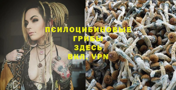 прущая мука Заволжье