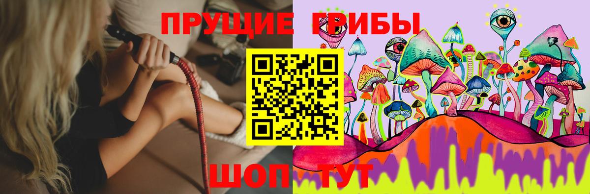 Галлюциногенные грибы Cubensis Зима