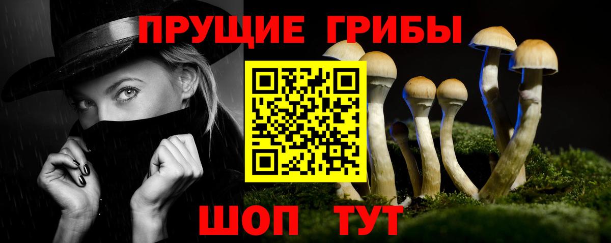 Галлюциногенные грибы ЛСД  Вход с VPN  где можно купить наркотик  Зима  Галлюциногенные грибы Psilocybine cubensis 